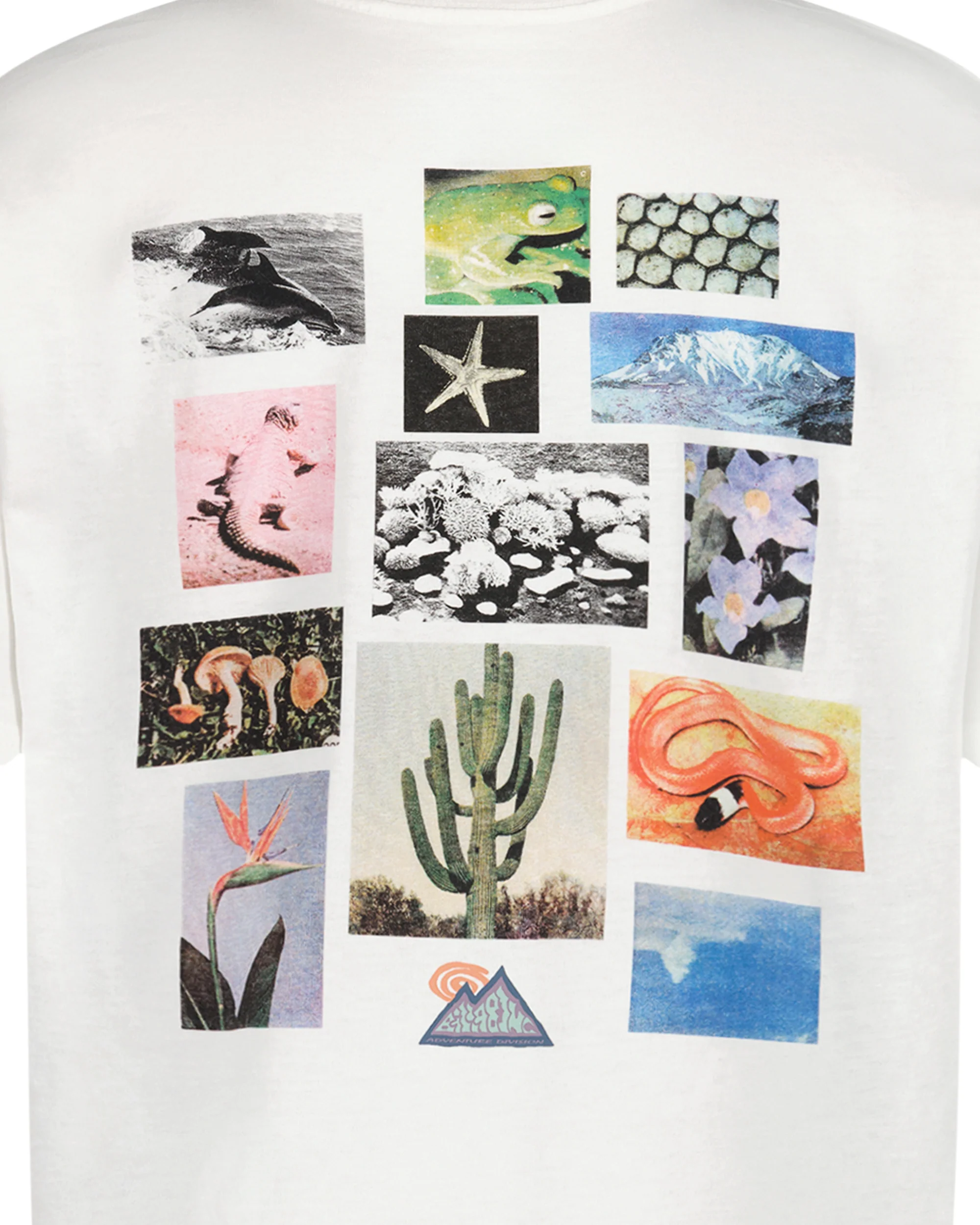 Boys Moments Short Sleeve T-Shirt - Image 6